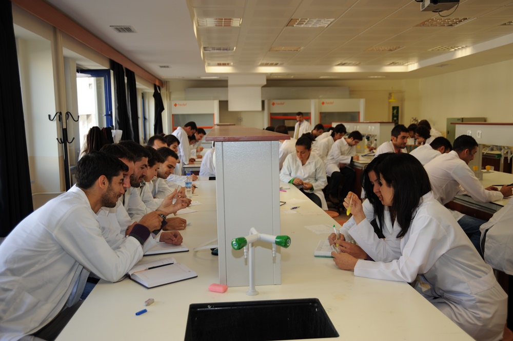 “Disaster of the Century” Could not Stop Scientific Productivity