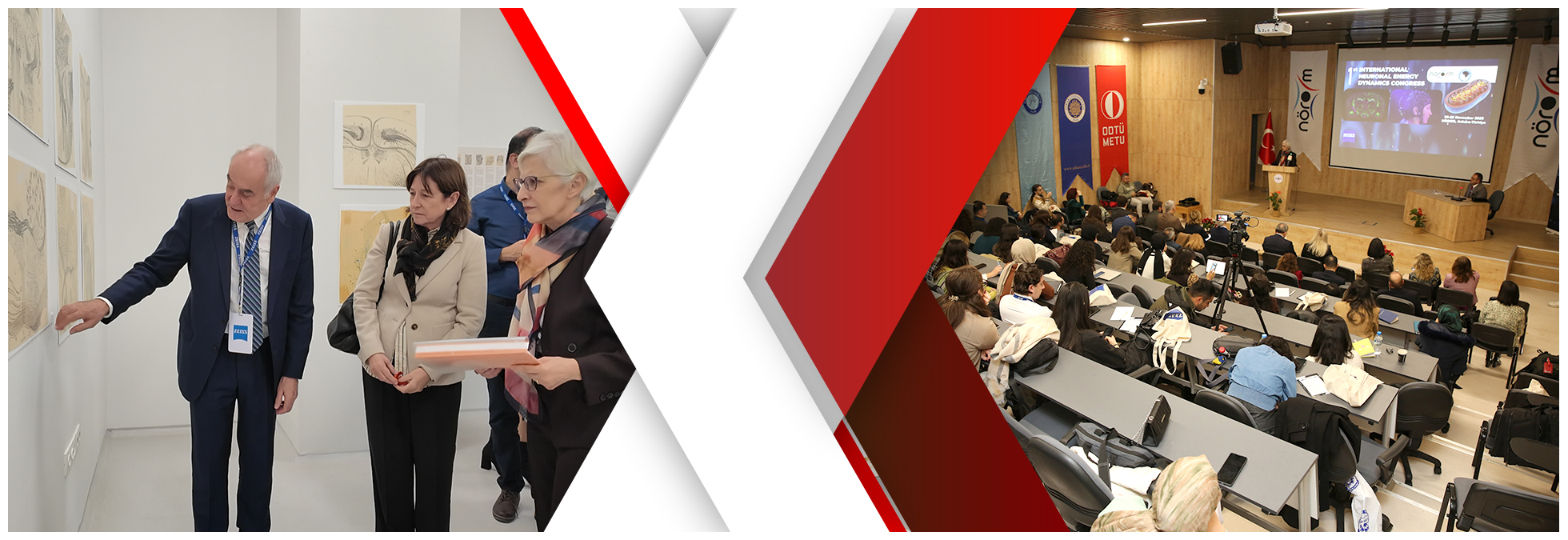 New Migraine Findings Presented by NÖROM at International Congress